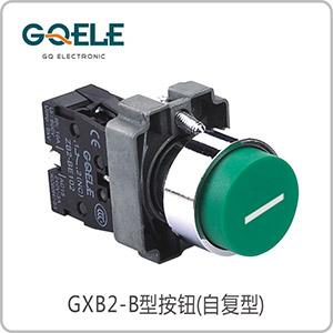 带符号凸头按钮