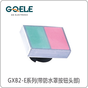 双平型双位钮头部